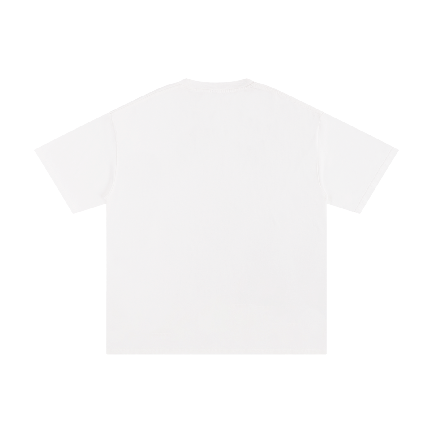 Satoshi Unisex Pure Cotton T-Shirt White Print - Degen Swag